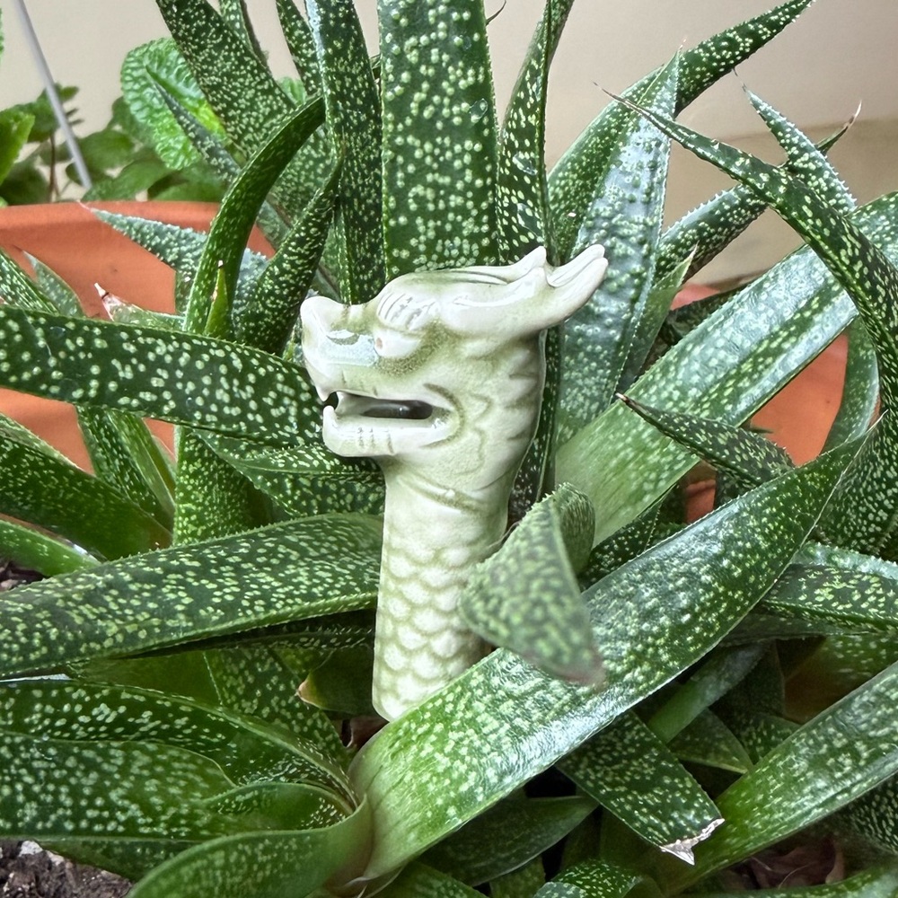 Loch Ness Dragon Garden Potted Plant Accent Piece Celadon Fine Glazed Porcelain